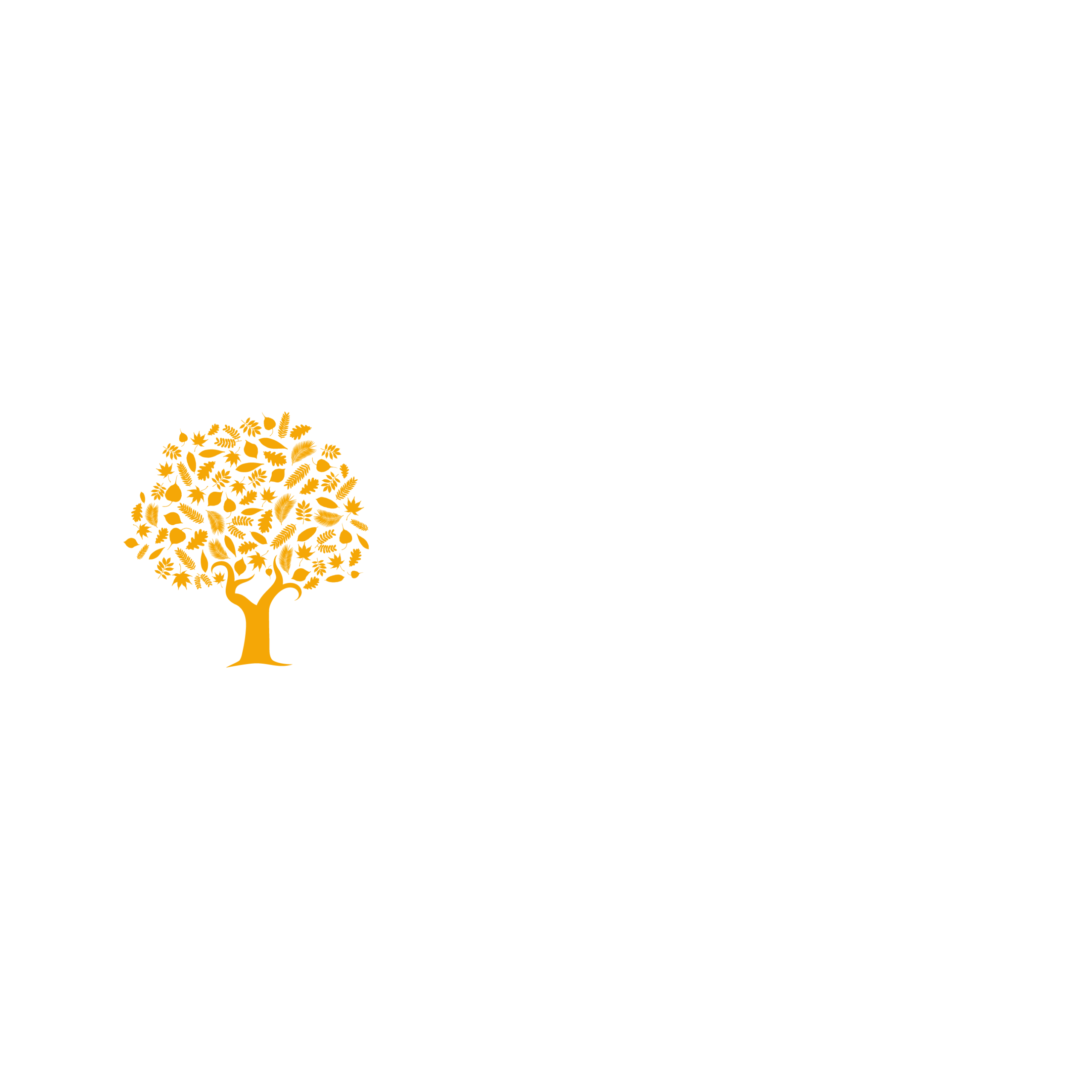 imgi_87_SOAS_White